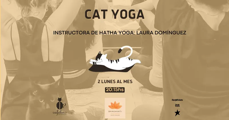 CAT YOGA