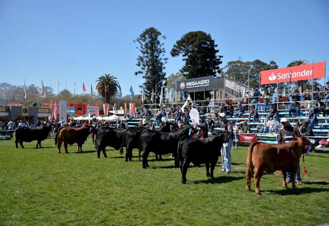 Expo Rural del Prado 2024
